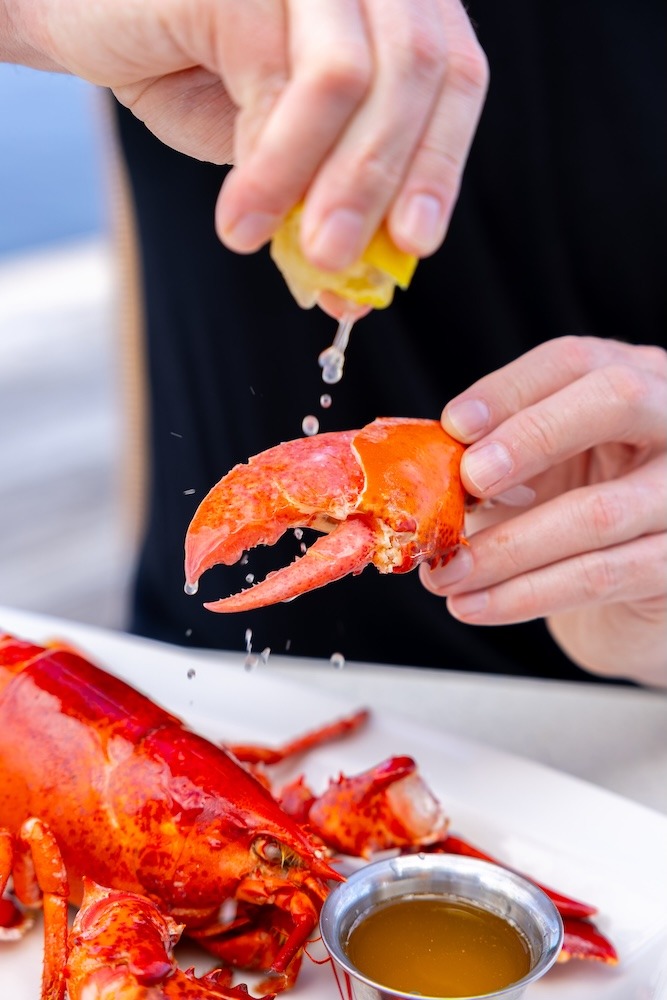 Fresh Seafood Boynton Beach Florida